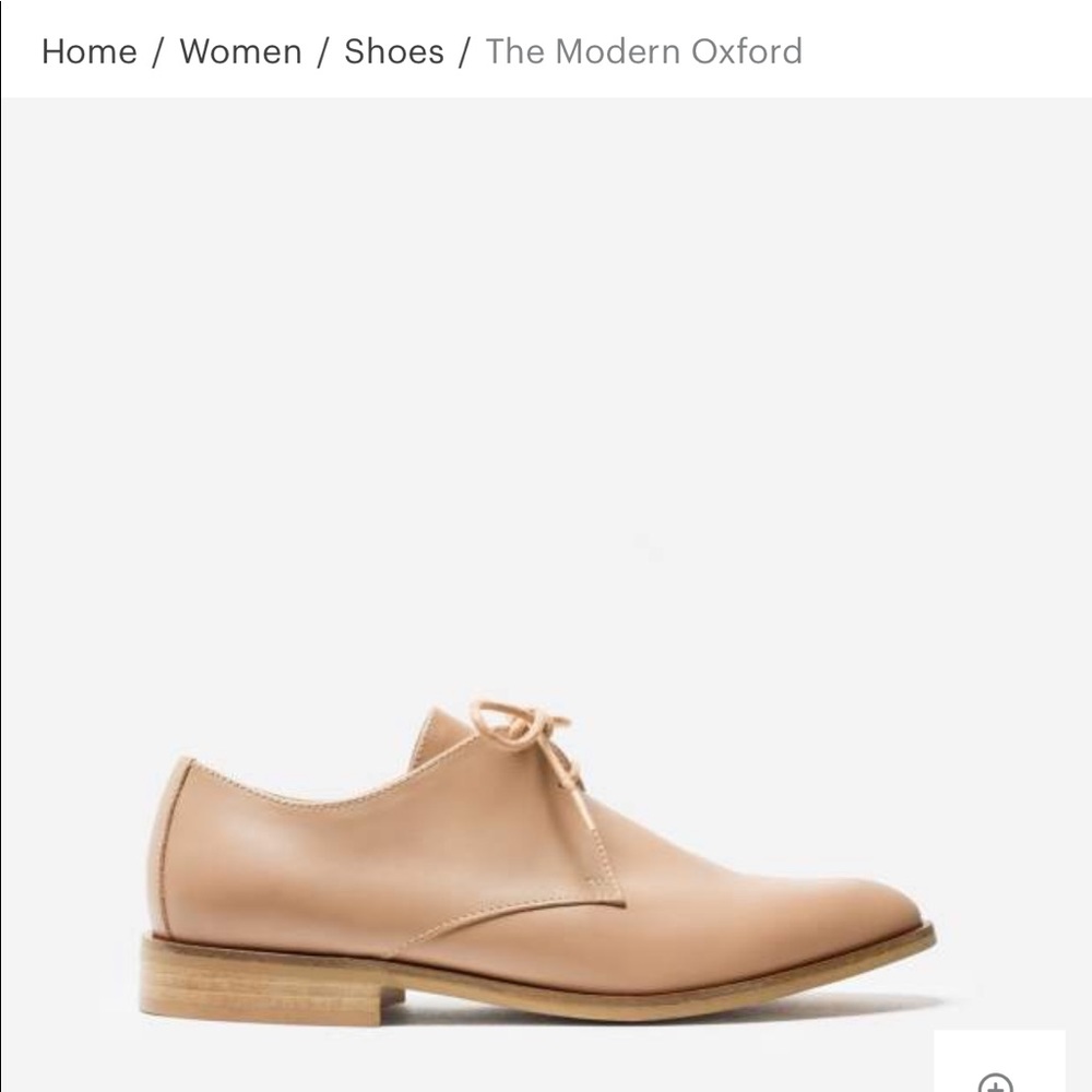 Everlane Modern Oxford in Blush